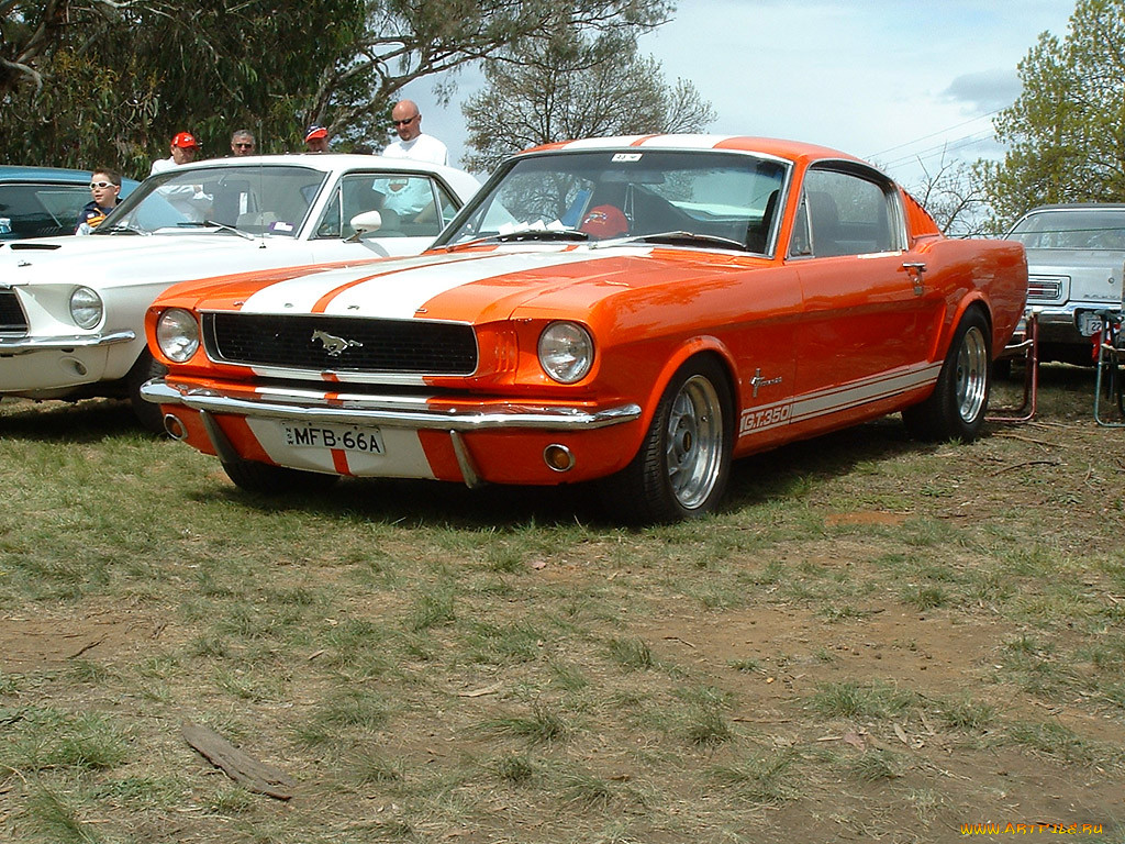 mustang, 1965, , ford